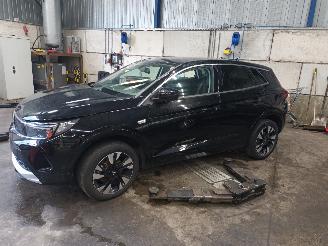 Sloopauto Opel Grandland Grandland (X) SUV 1.2 Turbo 12V (HNS) [96kW]  (07-2018/...) 2023
