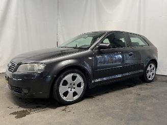 Audi A3 A3 (8P1) Hatchback 3-drs 2.0 TDI 16V (BKD) [103kW]  (05-2003/08-2012) picture 3