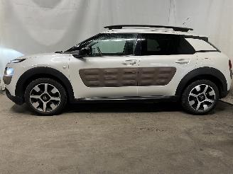Citroën C4 C4 Cactus (0B/0P) Hatchback 5-drs 1.2 PureTech 82 12V (EB2F(HMZ)) [60k=
W]  (09-2014/...) picture 4