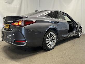 Lexus ES ES Sedan 300h 2.5 16V (A25A-FXS) [160kW]  (07-2018/...) picture 5