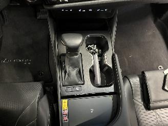Lexus ES ES Sedan 300h 2.5 16V (A25A-FXS) [160kW]  (07-2018/...) picture 30