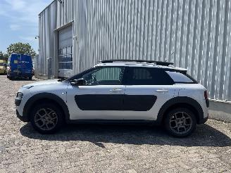 Citroën C4 C4 Cactus (0B/0P) Hatchback 5-drs 1.2 PureTech 82 12V (EB2F(HMZ)) [60k=
W]  (09-2014/...) picture 3