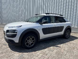 Citroën C4 C4 Cactus (0B/0P) Hatchback 5-drs 1.2 PureTech 82 12V (EB2F(HMZ)) [60k=
W]  (09-2014/...) picture 2