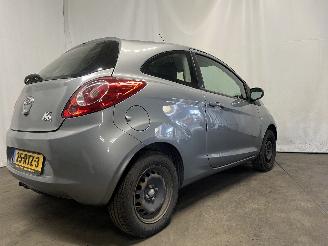 Ford Ka Ka II Hatchback 1.2 (169.A.4000(Euro 4; Euro 5)) [51kW]  (10-2008/05-2=
016) picture 6