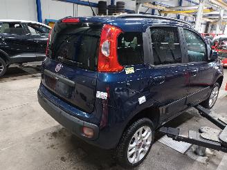 Fiat Panda Panda (312) Hatchback 0.9 TwinAir Turbo 85 (312.A.2000) [63kW]  (02-20=
12/...) picture 3