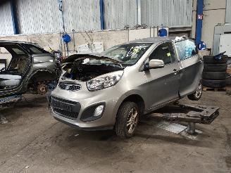 Sloopauto Kia Picanto Picanto (TA) Hatchback 1.0 12V (G3LA) [51kW]  (05-2011/06-2017) 2013/12