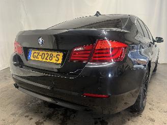 BMW 5-serie 5 serie (F10) Sedan 523i 24V (N53-B30A) [150kW]  (06-2009/08-2011) picture 5
