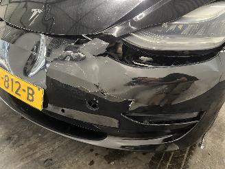Tesla Model 3 Model 3 Sedan Long Range 72kWh (3D6) [192kW]  (01-2017/...) picture 11