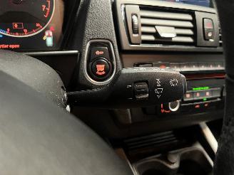 BMW 1-serie 1 serie (F20) Hatchback 5-drs 116i 1.6 16V (N13-B16A) [100kW]  (07-201=
1/02-2015) picture 19