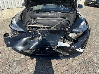 Tesla Model 3 Model 3 Sedan Long Range 75kWh (A0003K87Long Range 75kWh) [220kW]  (03=
-2019/...) picture 10
