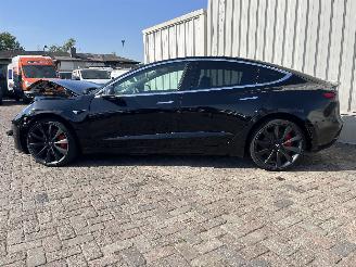 Tesla Model 3 Model 3 Sedan Long Range 75kWh (A0003K87Long Range 75kWh) [220kW]  (03=
-2019/...) picture 4