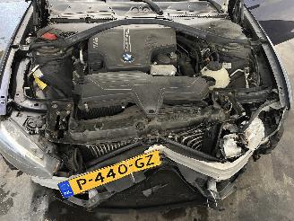 BMW 1-serie 1 serie (F20) Hatchback 5-drs 125i 2.0 16V (N20-B20A) [160kW]  (03-201=
2/11-2017) picture 32