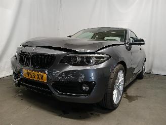 uszkodzony samochody osobowe BMW 2-serie 2 serie (F22) Coupé 218i 1.5 TwinPower Turbo 12V (B38-B15A) [100kW] =
 (03-2015/06-2021) 2018/5