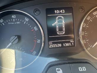Skoda Roomster Roomster (5J) MPV 1.2 TSI (CBZA) [63kW]  (03-2010/05-2015) picture 2