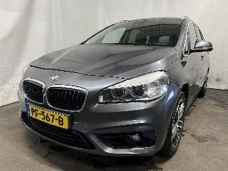 uszkodzony samochody osobowe BMW 2-serie 2 serie Gran Tourer (F46) MPV 218i 1.5 TwinPower Turbo 12V (B38-A15A) =
[100kW]  (03-2015/...) 2016/7