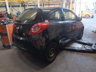 Ford Ka Ka II Hatchback 1.2 (169.A.4000(Euro 4; Euro 5)) [51kW]  (10-2008/05-2=
016) picture 3