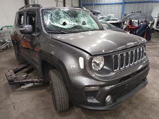 Jeep Renegade Renegade (BU) SUV 1.3 GSE T4 16V (46351268) [110kW]  (08-2018/...) picture 2