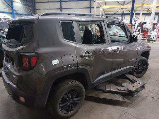 Jeep Renegade Renegade (BU) SUV 1.3 GSE T4 16V (46351268) [110kW]  (08-2018/...) picture 3