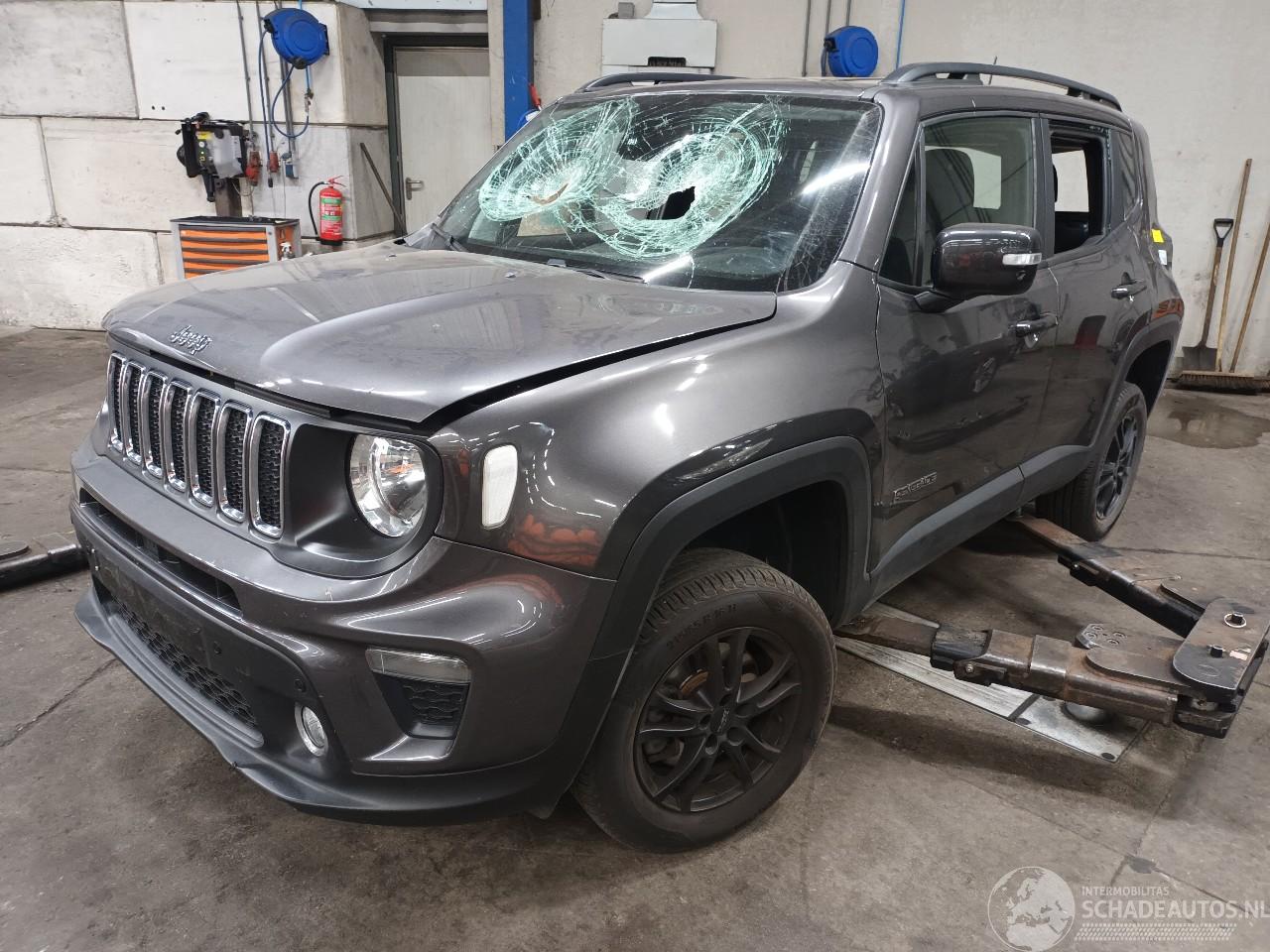 Jeep Renegade Renegade (BU) SUV 1.3 GSE T4 16V (46351268) [110kW]  (08-2018/...)