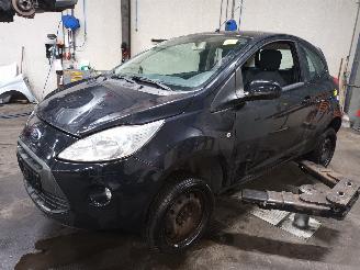 Autoverwertung Ford Ka Ka II Hatchback 1.2 (169.A.4000(Euro 4; Euro 5)) [51kW]  (10-2008/05-2=
016) 2010/7