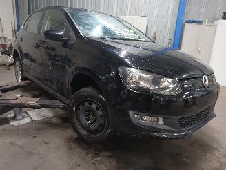 Volkswagen Polo Polo V (6R) Hatchback 1.2 TDI 12V BlueMotion (CFWA(Euro 5)) [55kW]  (1=
0-2009/05-2014) picture 2