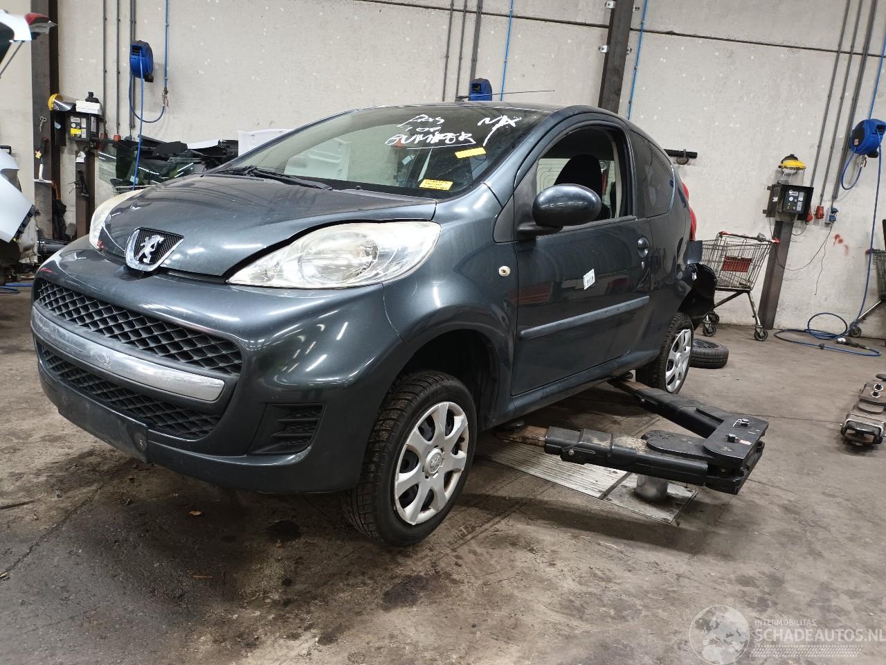 Peugeot 107 107 Hatchback 1.0 12V (384F(1KR)) [50kW]  (06-2005/05-2014)