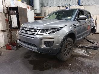 rozbiórka samochody osobowe Land Rover Range Rover Evoque Range Rover Evoque (LVJ/LVS) SUV 2.0 eD 150 16V (204DTD(AJ20D4)) [110k=
W]  (06-2015/12-2019) 2017/1
