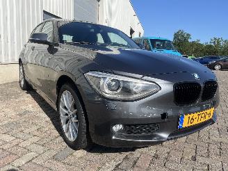 BMW 1-serie 1 serie (F20) Hatchback 5-drs 116i 1.6 16V (N13-B16A) [100kW]  (07-201=
1/02-2015) picture 6