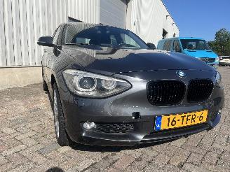 BMW 1-serie 1 serie (F20) Hatchback 5-drs 116i 1.6 16V (N13-B16A) [100kW]  (07-201=
1/02-2015) picture 5