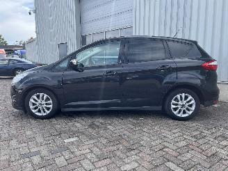 Ford C-Max C-Max (DXA) MPV 1.0 Ti-VCT EcoBoost 12V 125 (M1DA(Euro 5)) [92kW]  (10=
-2012/06-2019) picture 4
