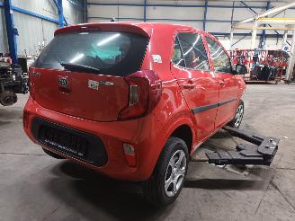 Kia Picanto Picanto (JA) Hatchback 1.0 12V (G3LA) [49kW]  (03-2017/...) picture 3