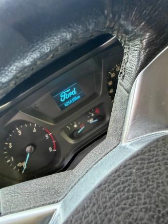 Ford Transit Transit Custom Van 2.2 TDCi 16V (CYF4) [92kW]  (04-2012/12-2023) picture 2