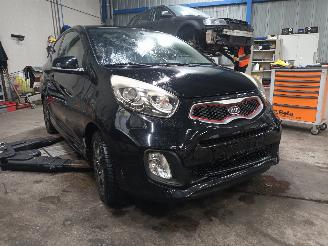 Kia Picanto Picanto (TA) Hatchback 1.2 16V (G4LA5) [63kW]  (09-2011/06-2017) picture 2
