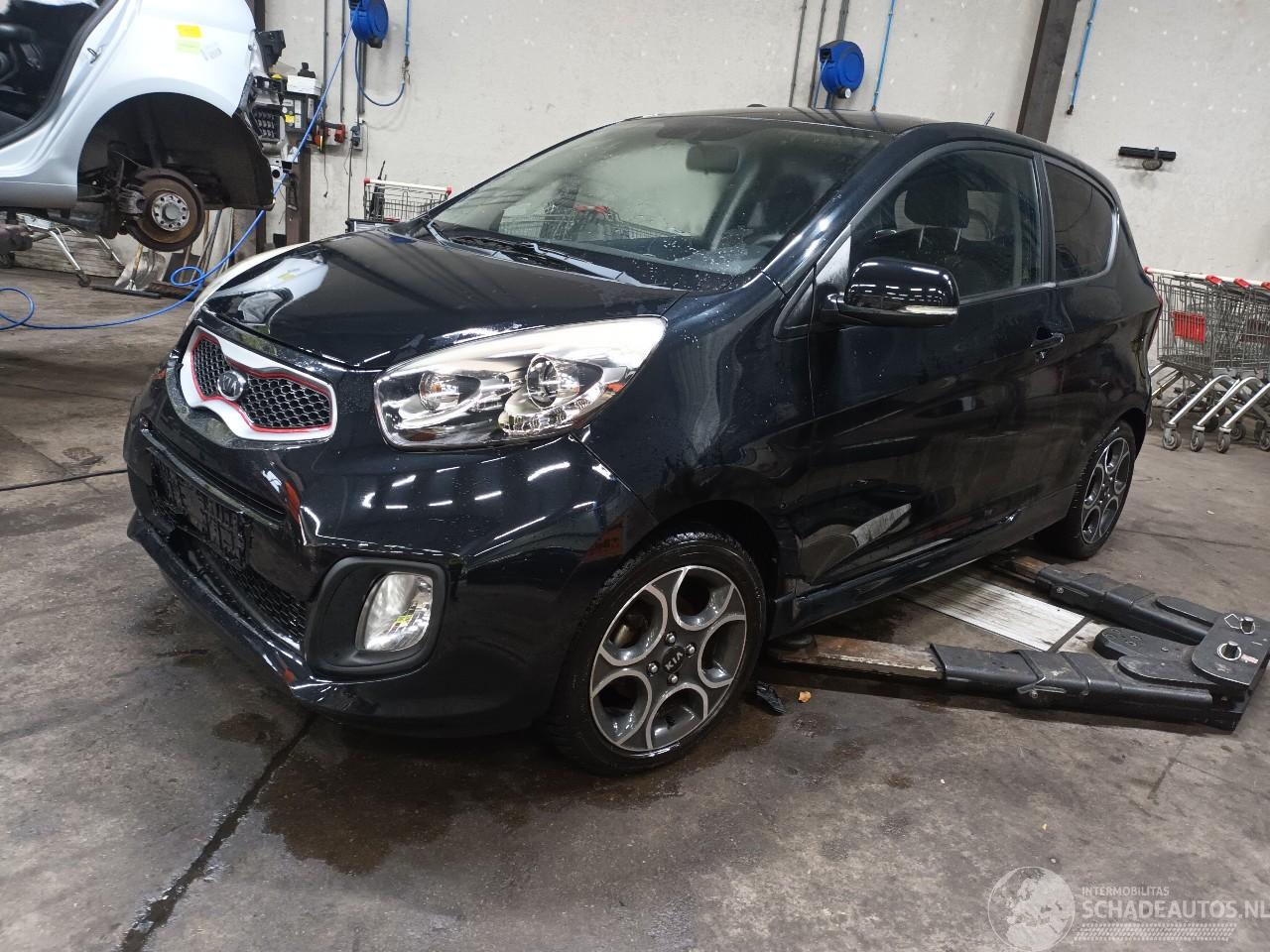 Kia Picanto Picanto (TA) Hatchback 1.2 16V (G4LA5) [63kW]  (09-2011/06-2017)