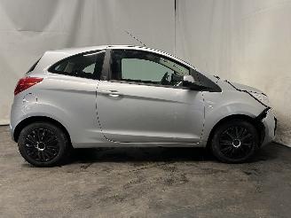 Ford Ka Ka II Hatchback 1.2 (169.A.4000(Euro 4; Euro 5)) [51kW]  (10-2008/05-2=
016) picture 6