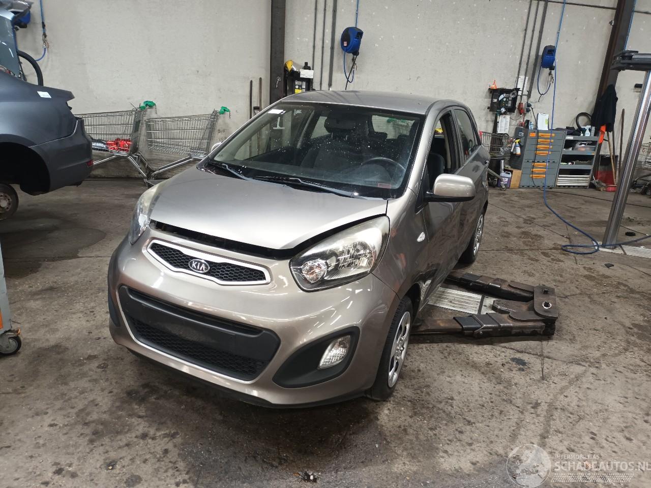 Kia Picanto Picanto (TA) Hatchback 1.0 12V (G3LA) [51kW]  (05-2011/06-2017)