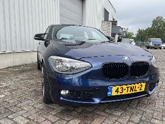 BMW 1-serie 1 serie (F20) Hatchback 5-drs 116i 1.6 16V (N13-B16A) [100kW]  (07-201=
1/02-2015) picture 5