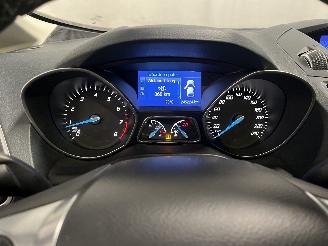 Ford C-Max C-Max (DXA) MPV 1.0 Ti-VCT EcoBoost 12V 125 (M1DA(Euro 5)) [92kW]  (10=
-2012/06-2019) picture 18