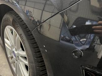 Ford C-Max C-Max (DXA) MPV 1.0 Ti-VCT EcoBoost 12V 125 (M1DA(Euro 5)) [92kW]  (10=
-2012/06-2019) picture 8