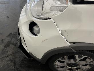 Fiat 500L 500L (199) MPV 0.9 TwinAir Turbo 105 (199.B.6000(Euro 6)) [77kW]  (09-=
2012/...) picture 21