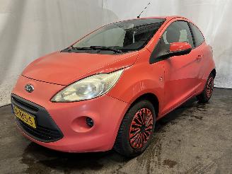 Ford Ka Ka II Hatchback 1.2 (169.A.4000(Euro 4; Euro 5)) [51kW]  (10-2008/05-2=
016) picture 3
