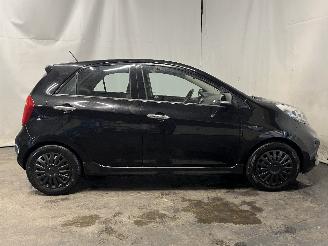 Kia Picanto Picanto (TA) Hatchback 1.0 12V (G3LA) [51kW]  (05-2011/06-2017) picture 7