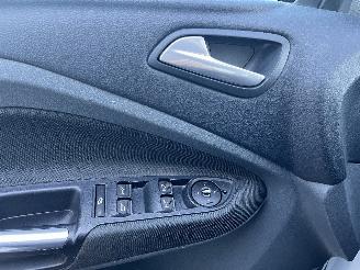 Ford Grand C-Max Grand C-Max (DXA) MPV 2.0 TDCi 16V (TXDB(Euro 5)) [120kW]  (12-2010/06=
-2019) picture 22