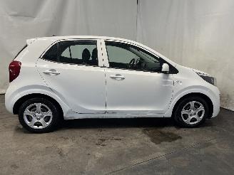 Kia Picanto Picanto (JA) Hatchback 1.0 12V (G3LA) [49kW]  (03-2017/...) picture 7