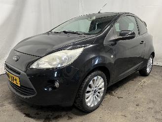 Ford Ka Ka II Hatchback 1.2 (169.A.4000(Euro 4; Euro 5)) [51kW]  (10-2008/05-2=
016) picture 3