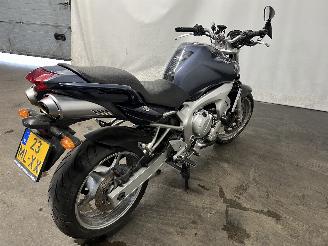 Yamaha FZ 6 Tour picture 6