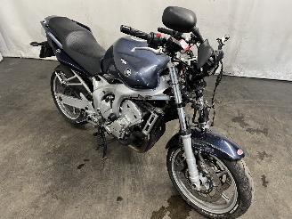 Yamaha FZ 6 Tour picture 3