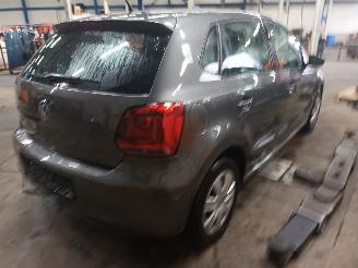 Volkswagen Polo Polo V (6R) Hatchback 1.2 12V (CGPB(Euro 5)) [44kW]  (06-2009/05-2014)= picture 3