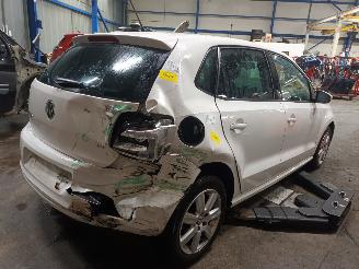 Volkswagen Polo Polo V (6R) Hatchback 1.4 16V (CGGB(Euro 5)) [63kW]  (03-2009/05-2014)= picture 3