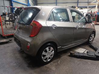 Kia Picanto Picanto (TA) Hatchback 1.0 12V (G3LA) [51kW]  (05-2011/06-2017) picture 3